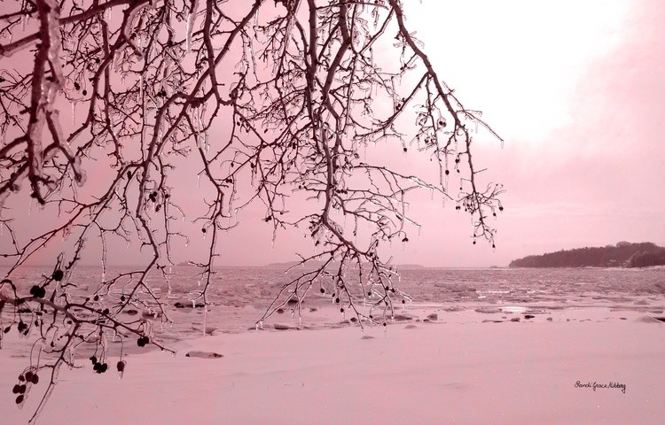 Beautifully Cold