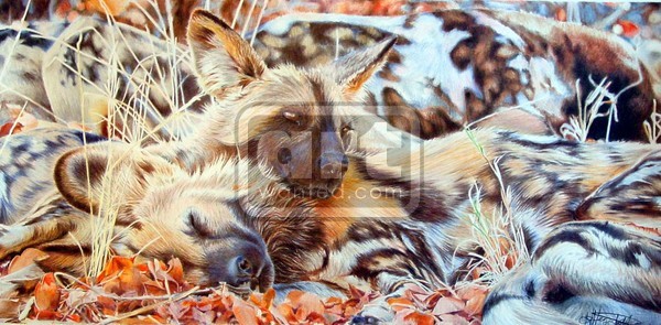 Dog Tired