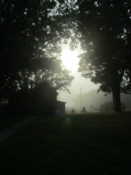 Morning dew