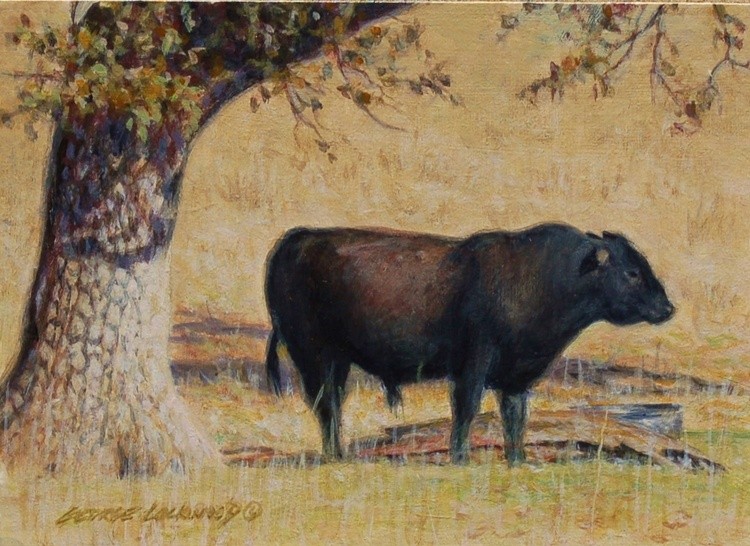 Bull Pasture 