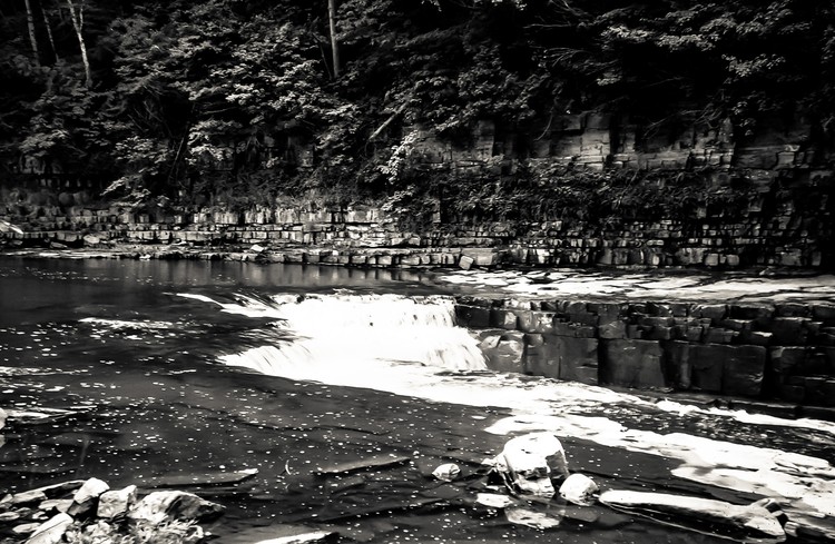 Au Sable River Gorge
