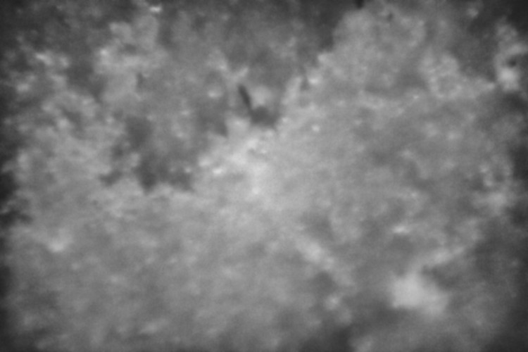 Macro  Space #13