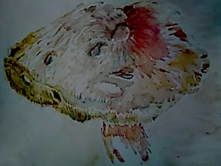 Slippery Jack Mushroom Watercolor