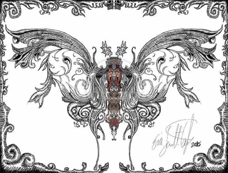 Filigree Moth