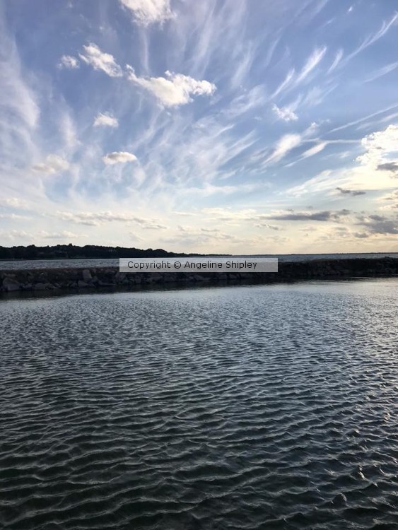 Lake Life