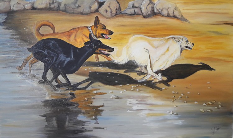dogs run
