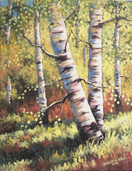 Summer Aspens