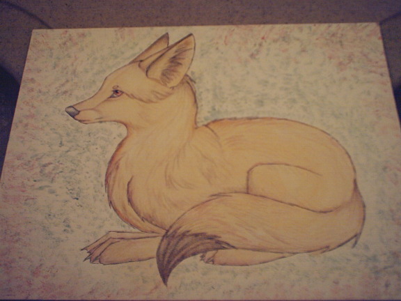 fennec fox 