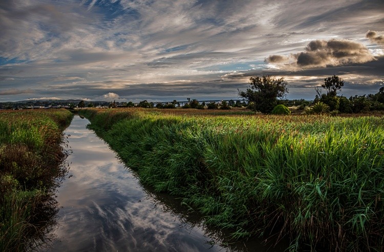 Alhambra Creek - April 11  2026