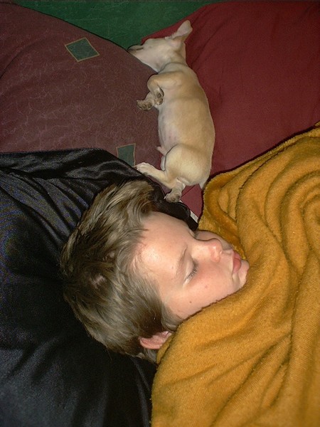    Sleeping Cuties