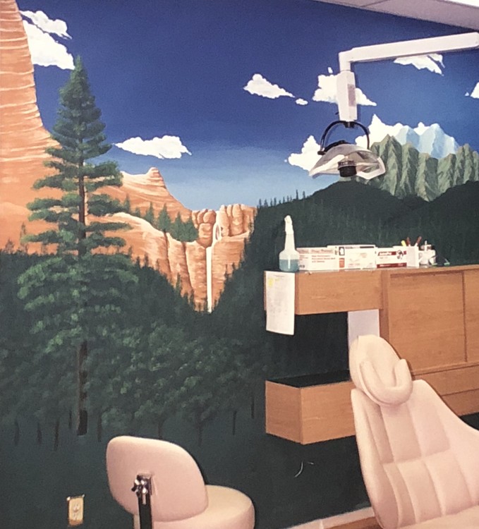 Mountain Scene Mural - dental office