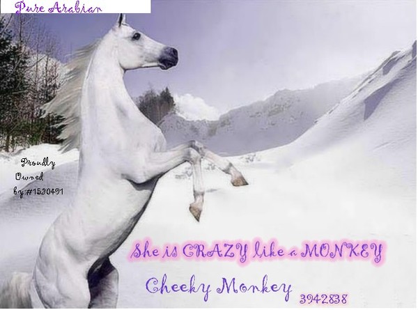 THIS IS MONKEY