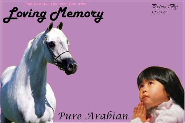 HORSELAND HORSE PIC