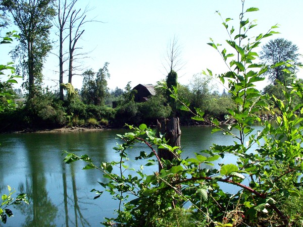 PEACEFUL STREAMS