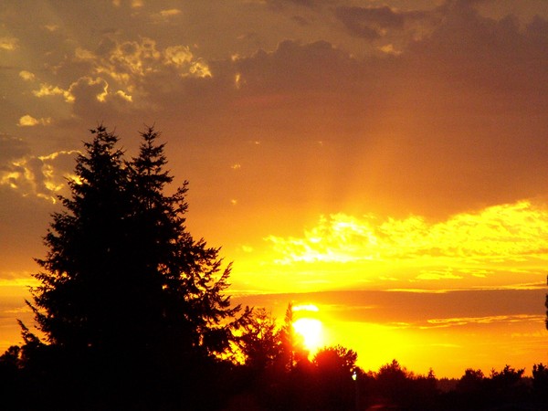 EVENING SUNSET