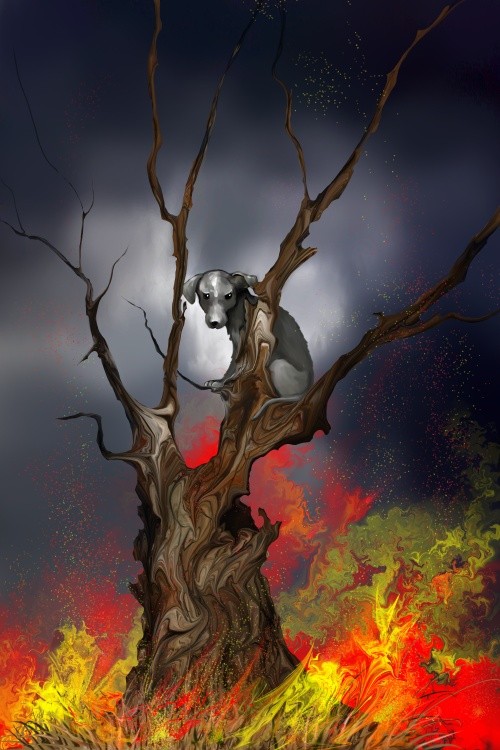 Waldbrand