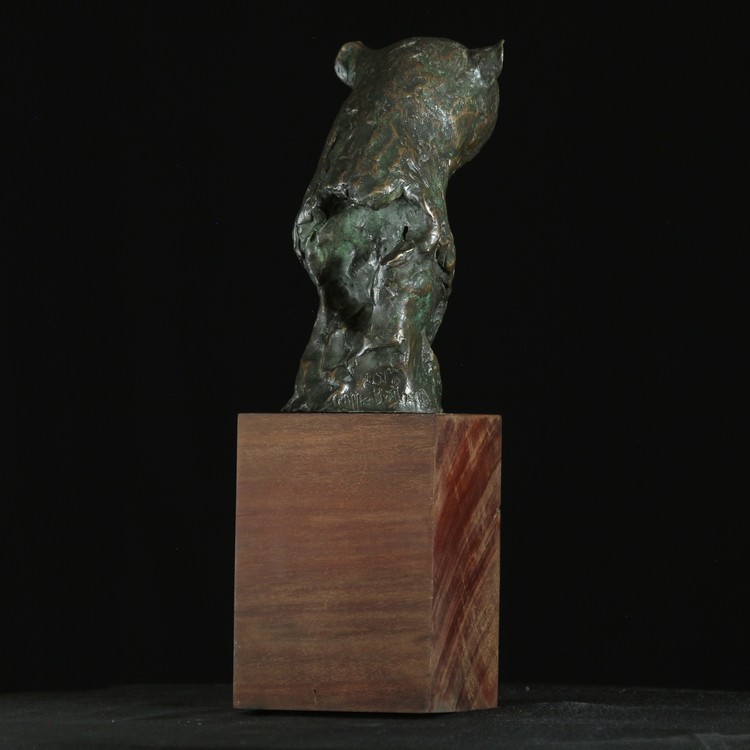 CHEETAH BUST