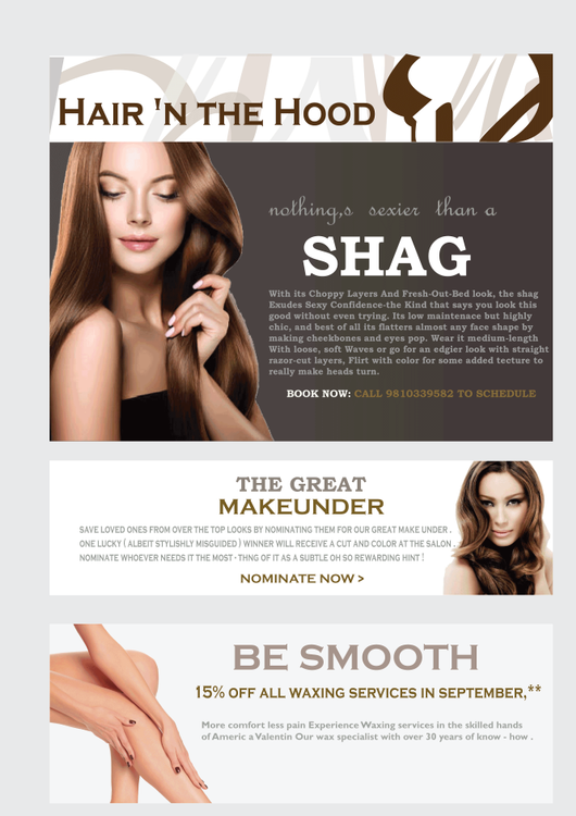 NEWSLETTER-FOR-SALON