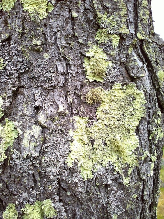 DSCF0020