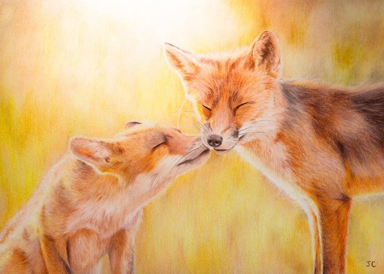 Foxes
