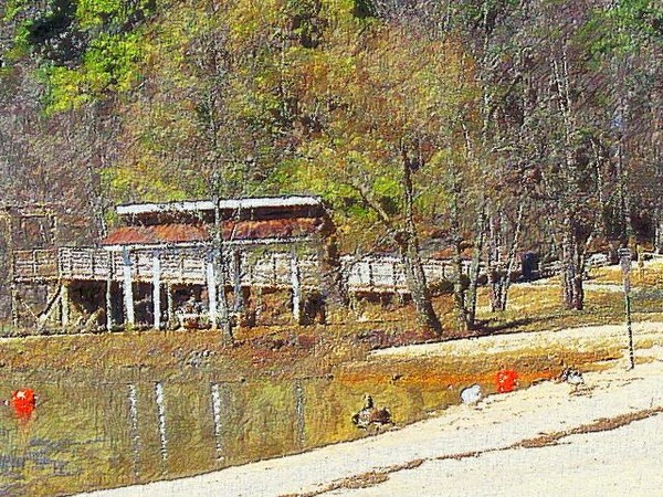 Park Beach