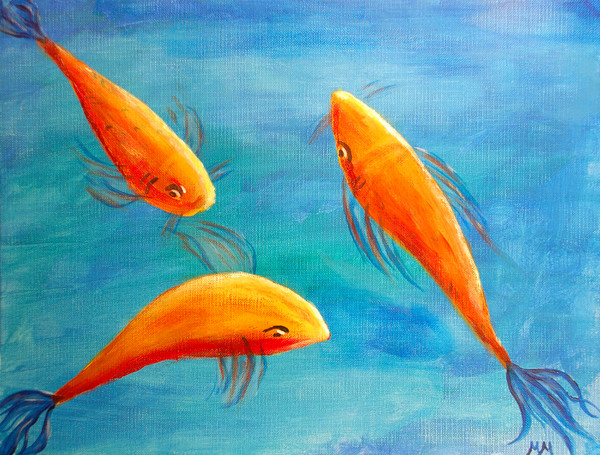 Koi