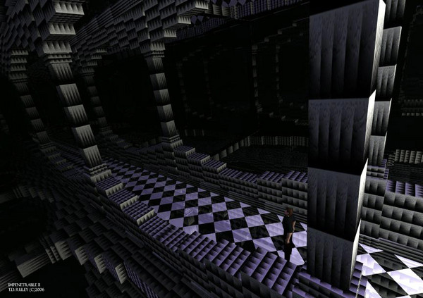 Impenetrable II