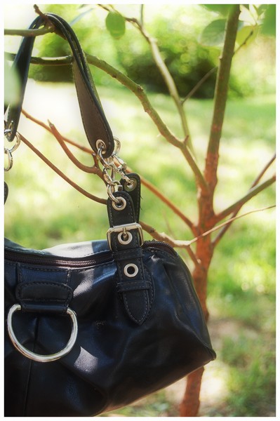 Bag on Tree