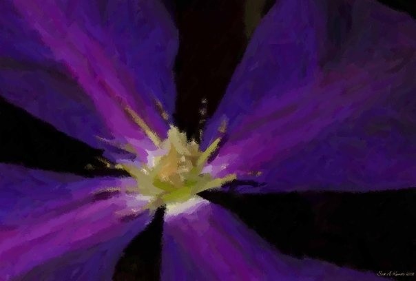 purple