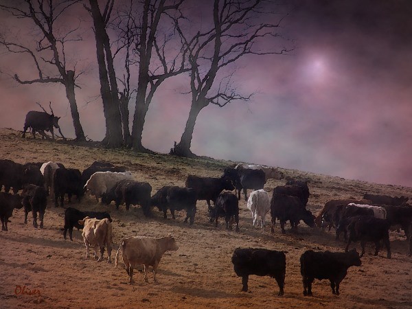 The Gathering Place