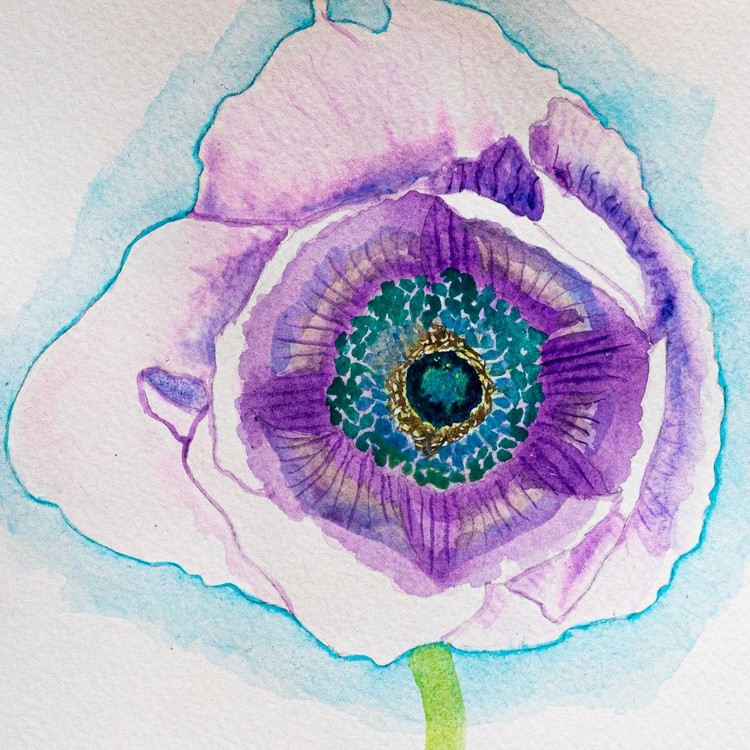Anemone