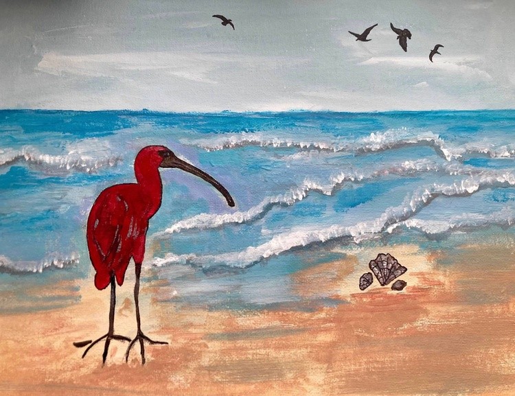 Ibis on the Beach 