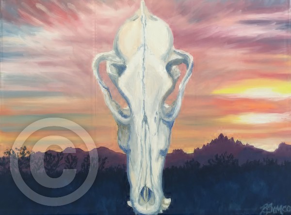 Coyote Skull al la O'Keefe