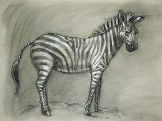 Zebra