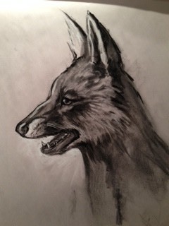 Portrait of a fox