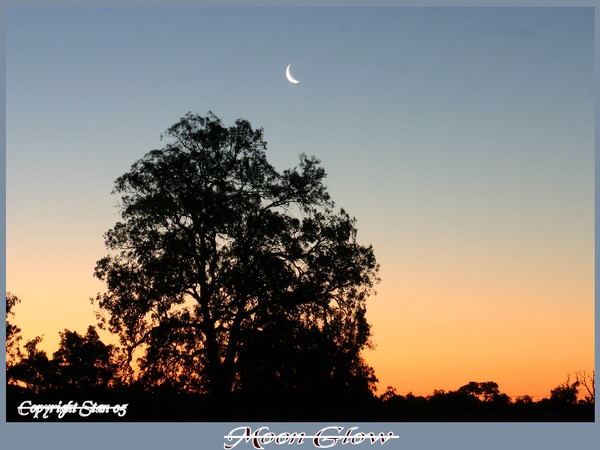 Crescent Moon