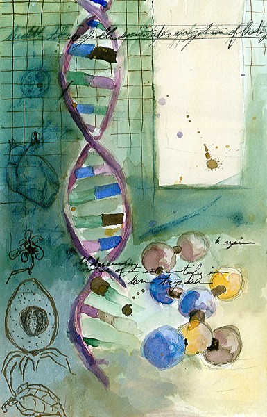 Samueli Institute DNA Sketch