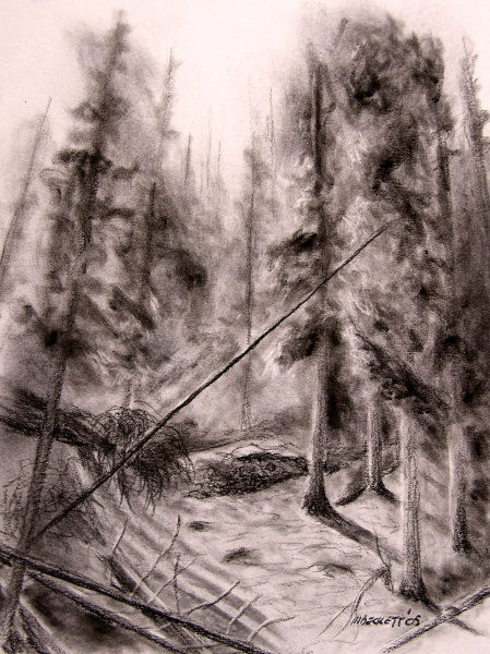 Forest on the Hill