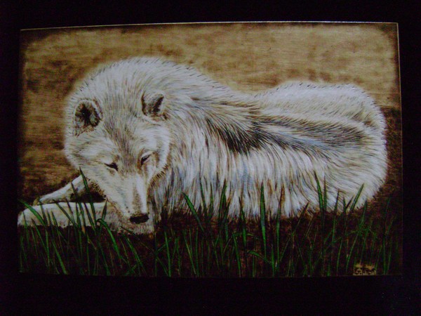Arctic Wolf Pyrography Box