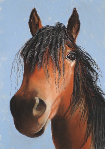 a horse
