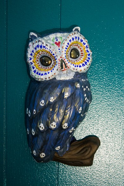 Día de Muertos Owl