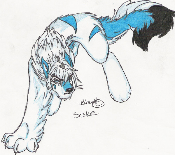Soke the wolf