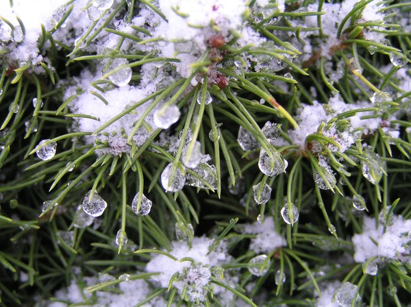 First snow