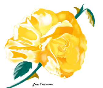 Yellow rose