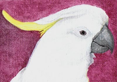 Powder - ACEO