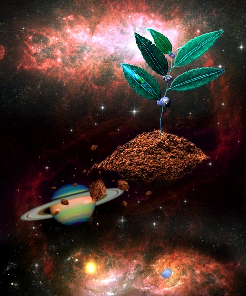 Life InThe Universe