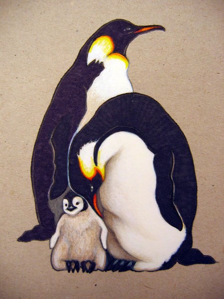 Penguins (Manchots)
