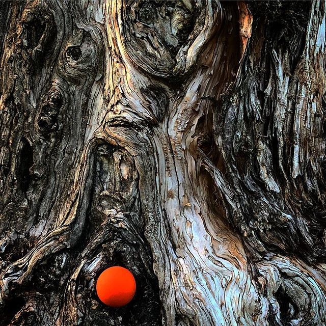 Orange ball placement #2