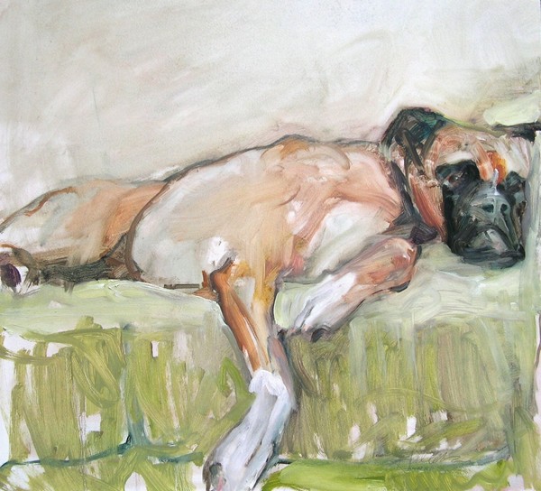 Boxer