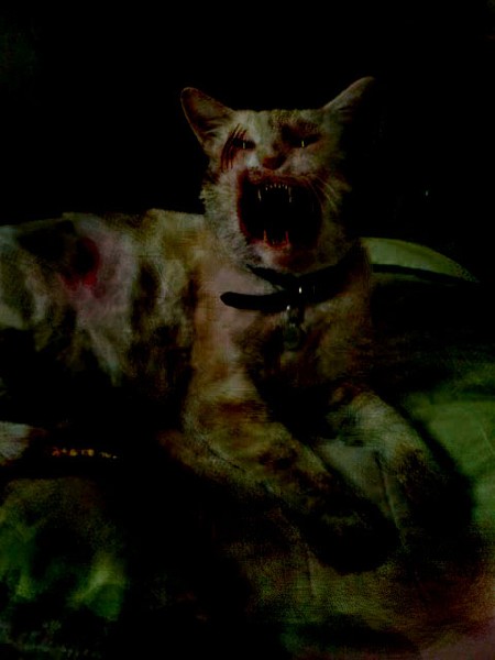 soc_zombie